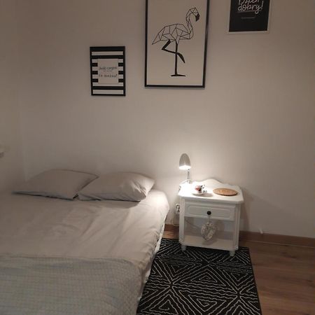 Mieszkanie 4-Pokojowe W Toruniu Przy Umk Buitenkant foto