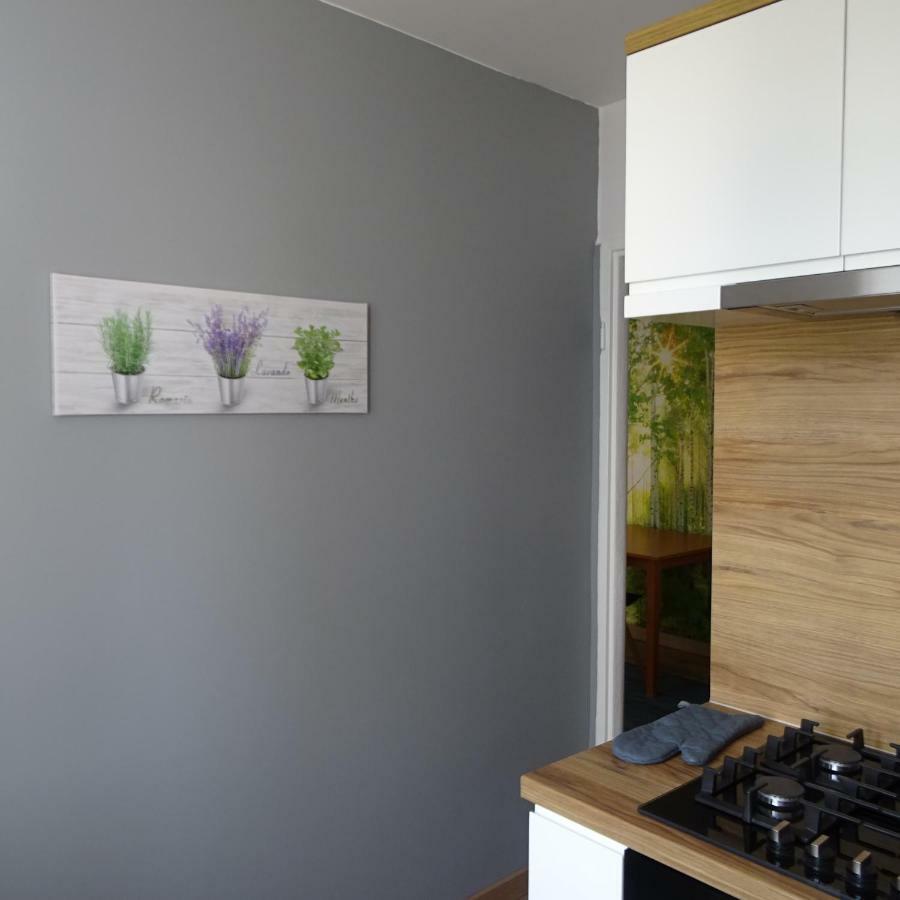 Mieszkanie 4-Pokojowe W Toruniu Przy Umk Buitenkant foto