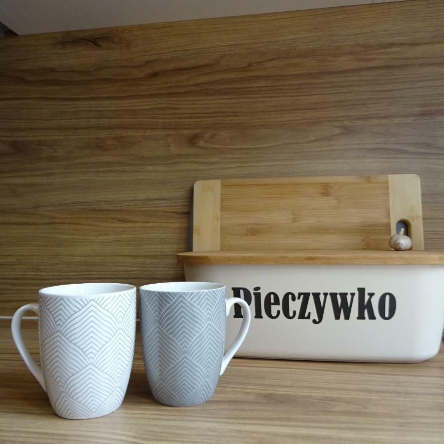 Mieszkanie 4-Pokojowe W Toruniu Przy Umk Buitenkant foto